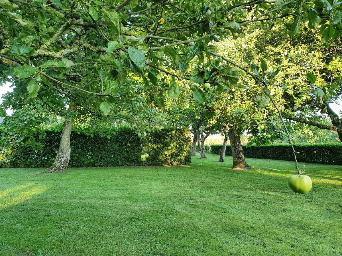 Solbjerg Skov B&B Exterior photo